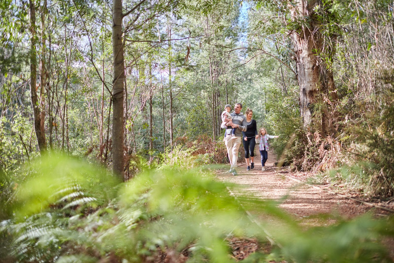 Kinglake Ranges - DiscoverDindi