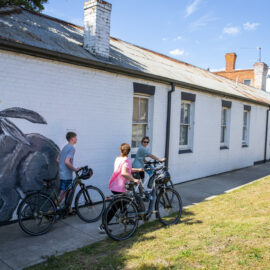 Great Victorian Rail Trail - Alexandra to Cathkin