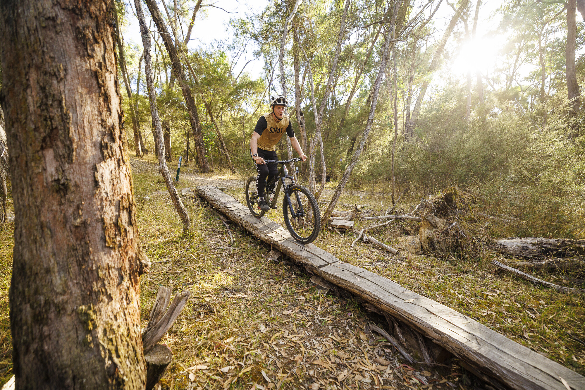 Cyclist riding over a wooden built feature at Eildon Mountain Bike Park