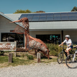 Great Victorian Rail Trail - Dindi Naturals Yarck