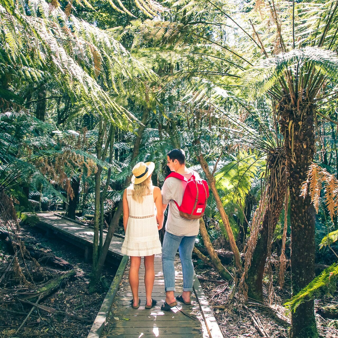 Wirrawilla Rainforest Walk