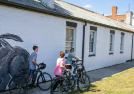 Great Victorian Rail Trail - Alexandra to Cathkin