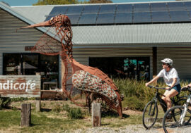 Great Victorian Rail Trail - Dindi Naturals Yarck