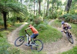 Two cyclists riding flowing corners at Buxton Mountain Bike Park